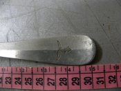 DSCN7324.JPG
