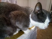 IMG_20190324_231839.jpg