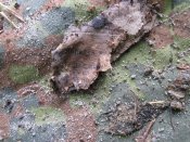 IMG_1886.jpg