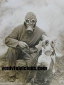 $(KGrHqIOKkYE6idoRw7iBOul2!rkSQ~~60_12.jpg