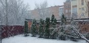 20190328_055034.jpg