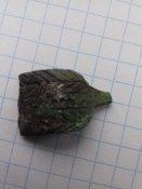 20190328_144744.jpg