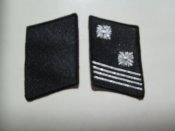 петлицы