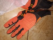IMG_20190330_020651.jpg