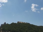 Природа Ай Петри.jpg