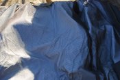 DSC_1136.JPG