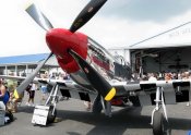 maam_2010_1298_1-1.jpg