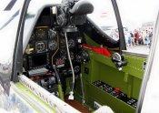 maam_2010_1313_1-1.jpg