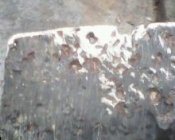 IMG0214A.jpg