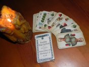 DSCN7929.jpg