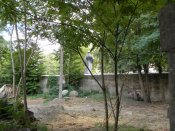 DSCN4318.jpg