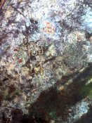 070320087538.jpg