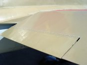 DSC08022.jpg