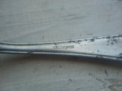 SDC12066.jpg