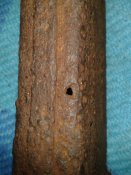 2018-10-25 22.39.21.jpg