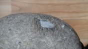 DSC03768.JPG