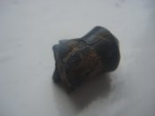 DSC05511.jpg