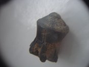DSC05512.jpg