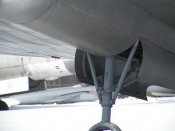 w00143_1591726-1.jpg