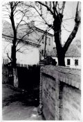 1960 г. Ул Свердлова. Забор Финотдела с видом на библиотеку им. Лермонтова. Мелитополь.jpg