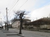005=IMG_8509 — копия -обрезка.jpg