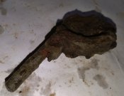 IMG_20190405_202638.jpg