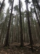 IMG_0619.JPG