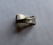 20190406_124555.jpg