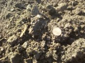 IMG_20190405_101518.jpg
