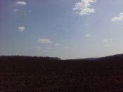 IMG_20190405_121750.jpg