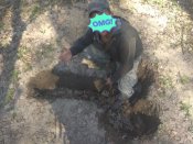 IMG_20190406_200837.jpg