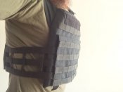 Плитоноска (plate carrier) + бронеплити темп 3000