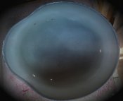 DSC03604.JPG