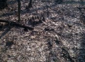 IMG_20190406_145504.jpg