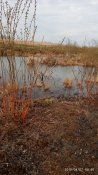 IMG_20190407_084038.jpg