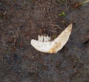 IMG_20190407_213346.jpg