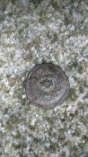 DSC_4028.JPG