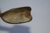 DSC_4056.jpg