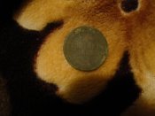 DSC07783.jpg