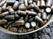 пулі 7.62 ппш тт