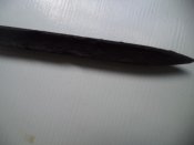 DSC08240.JPG