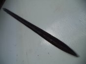 DSC08242.JPG