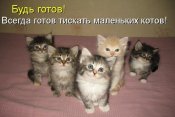 bud-gotov.jpg