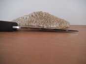 DSCF1477.JPG