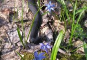 IMG_20190410_102201.jpg