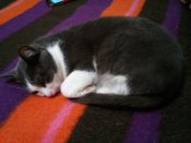 IMG_20181126_192342.jpg