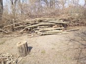 IMG_20190407_112312.jpg