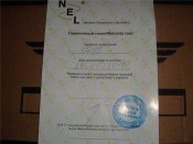 nel2.jpg