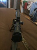 IMG_5333.jpeg