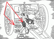 195096_600.gif